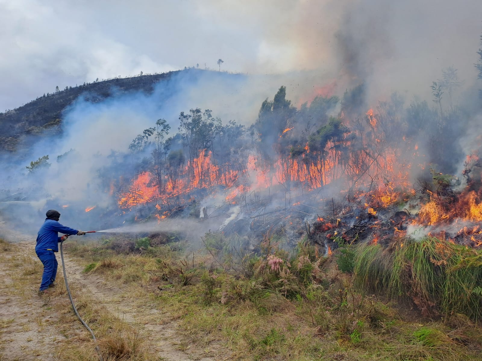 Fire Management album cover